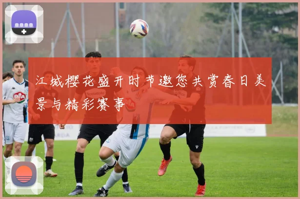江城樱花盛开时节邀您共赏春日美景与精彩赛事