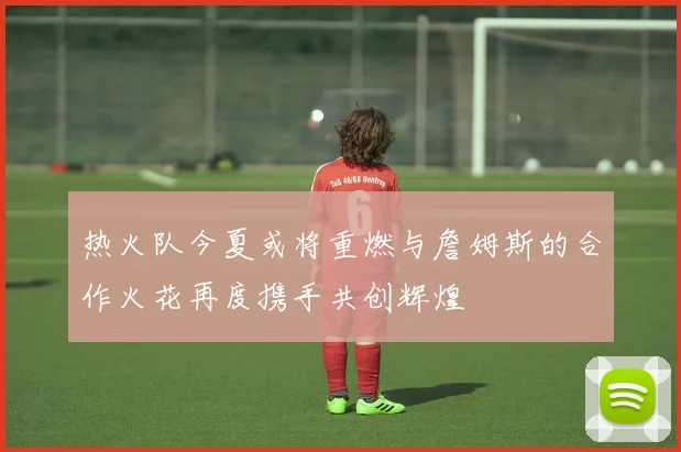 热火队今夏或将重燃与詹姆斯的合作火花再度携手共创辉煌